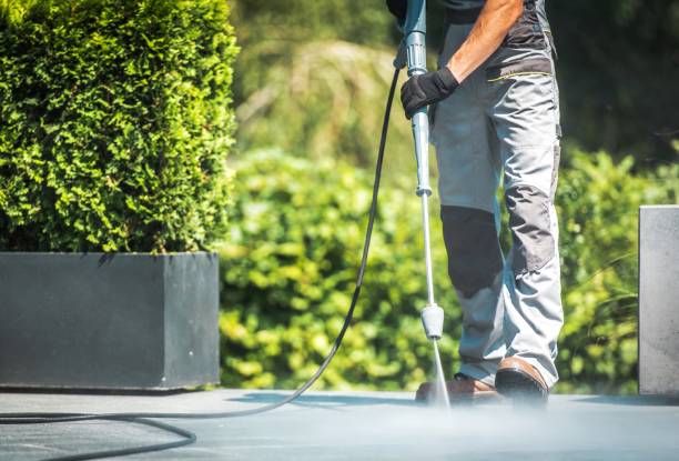 Best Patio and Deck Pressure Washing  in Richwood, TX